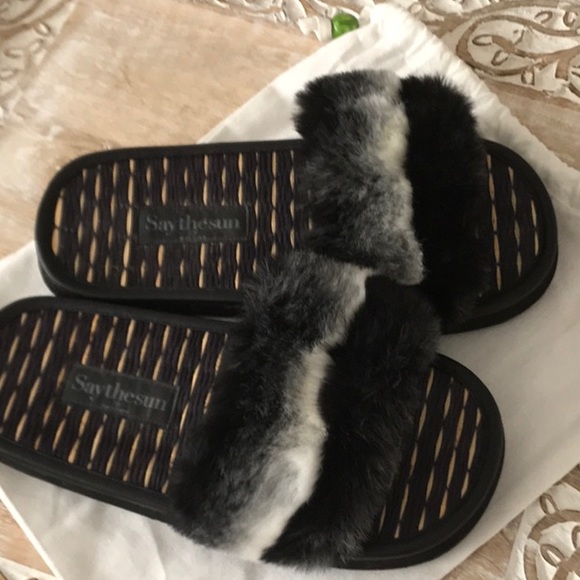 Fuzzy slides by say the sun. - Picture 2 of 4